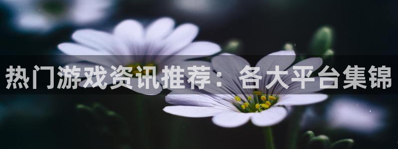 长征娱乐：热门游戏资讯推荐：各大平台集锦
