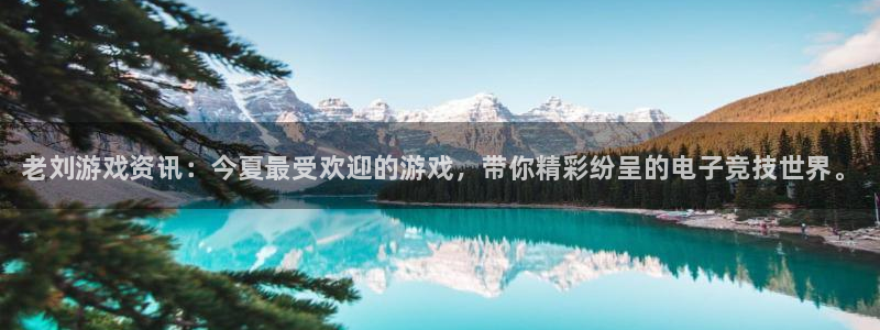 长征娱乐平台注册开户：老刘游戏资讯：今夏最受欢迎的游戏，带你