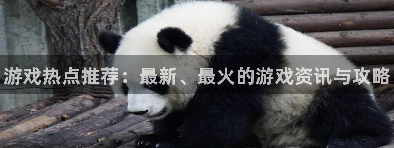 长征娱乐登陆测速：游戏热点推荐：最新、最火的游戏资讯与攻略