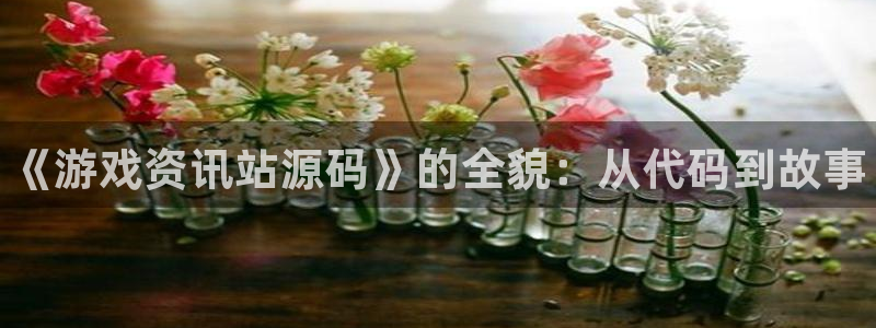 长征娱乐主管：《游戏资讯站源码》的全貌：从代码到故事