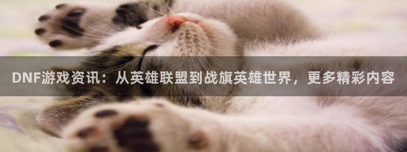 长征娱乐网页版地址：DNF游戏资讯：从英雄联盟到战旗英雄世界