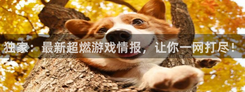 长征娱乐app：独家：最新超燃游戏情报，让你一网打尽！