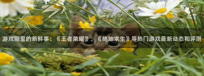 长征娱乐注册网站：游戏圈里的新鲜事：《王者荣耀》、《绝地求生