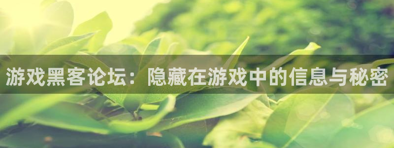 长征娱乐什么意思：游戏黑客论坛：隐藏在游戏中的信息与秘密