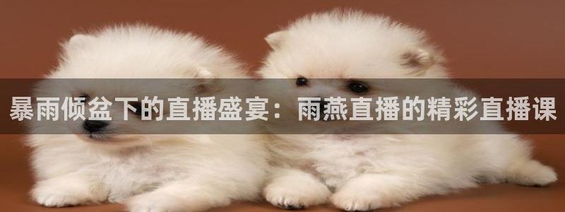 9255tv直播无插件nba：暴雨倾盆下的直播盛宴：雨燕直播的精彩直播课