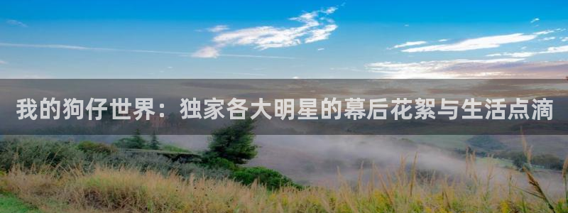 9255tv直播nba在线观看：我的狗仔世界：独家各大明星的幕后花絮与生活点滴