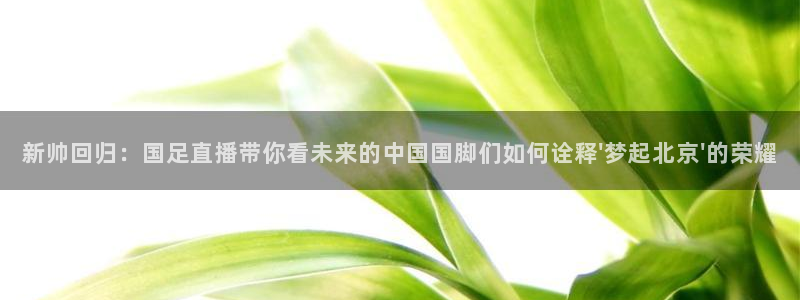 9255tv直播无插件nba