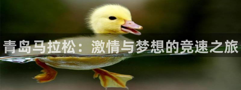 9255tv直播nba在线观看